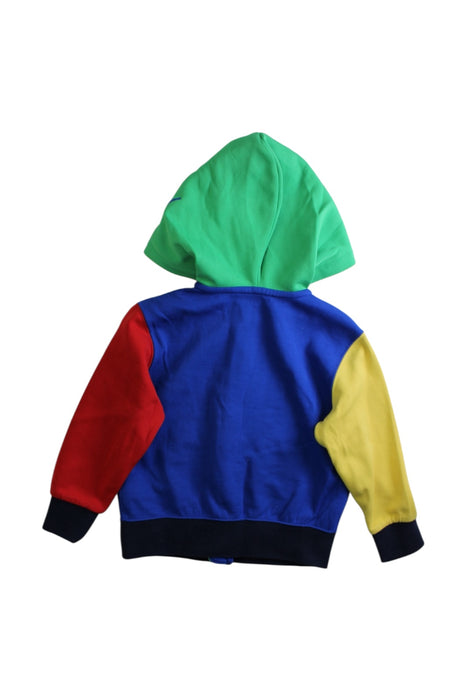A Multicolour Zippered Sweatshirts from Polo Ralph Lauren in size 2T for boy. (Back View)