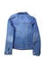 A Blue Lightweight Jackets from Levi's in size 5T for boy. (Back View)