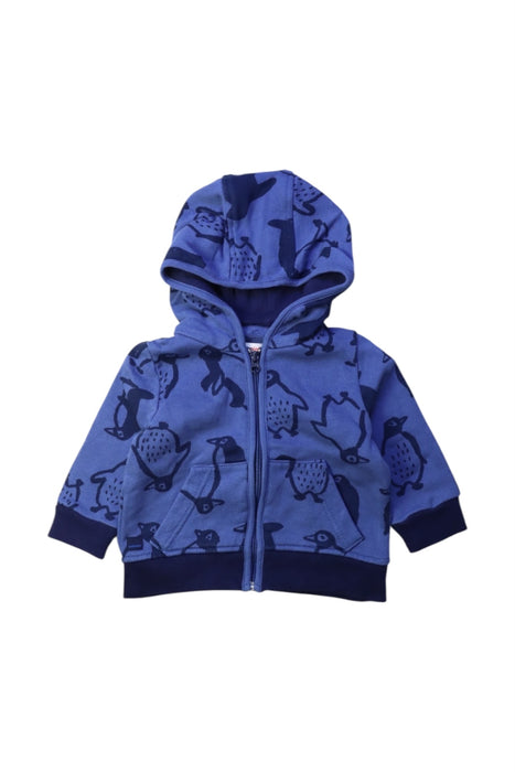A Blue Hooded Sweatshirts from Catimini in size 3-6M for boy. (Front View)