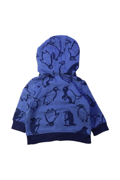 A Blue Hooded Sweatshirts from Catimini in size 3-6M for boy. (Back View)