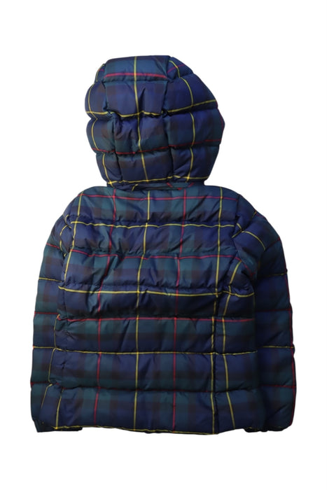 A Multicolour Puffer/Quilted Coats & Outerwear from Polo Ralph Lauren in size 6T for neutral. (Back View)