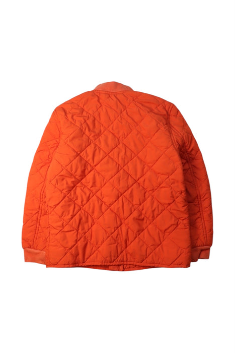 A Orange Puffer/Quilted Jackets from Polo Ralph Lauren in size 6T for neutral. (Back View)