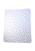 A White Blankets from Ralph Lauren in size O/S for boy. (Front View)