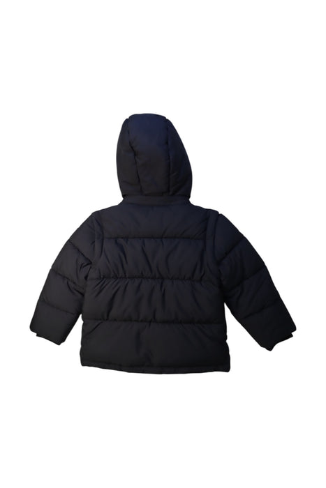 A Navy Puffer/Quilted Coats & Outerwear from Original Marines in size 5T for girl. (Back View)