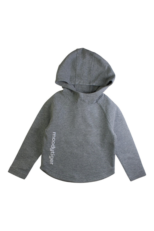 A Grey Hooded Sweatshirts from Moody Tiger in size 4T for boy. (Front View)