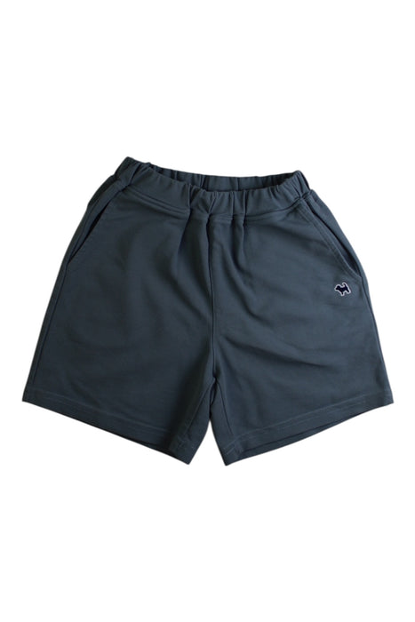 A Navy Shorts from Blue Dog Baby in size 5T for boy. (Front View)