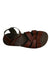A Brown Sandals from Salt-Water in size 6T for girl. (Front View)