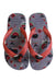 A Purple Flip Flops from Havaianas in size 5T for girl. (Back View)
