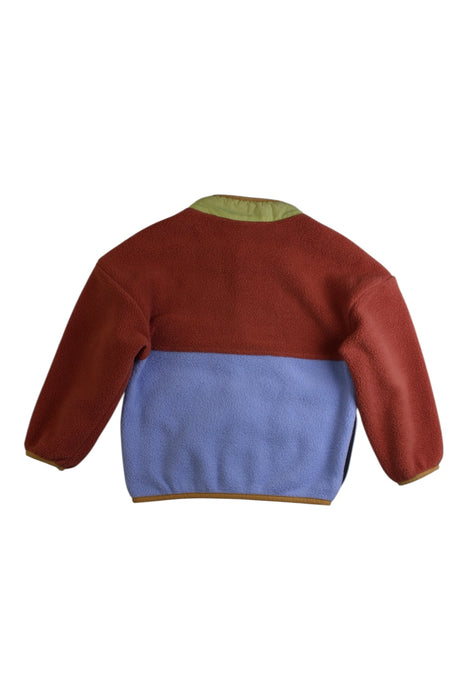 A Multicolour Puffer/Quilted Jackets from Patagonia in size 3T for boy. (Back View)