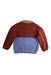 A Multicolour Puffer/Quilted Jackets from Patagonia in size 3T for boy. (Back View)