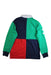 A Multicolour Long Sleeve Polos from Polo Ralph Lauren in size 8Y for boy. (Back View)