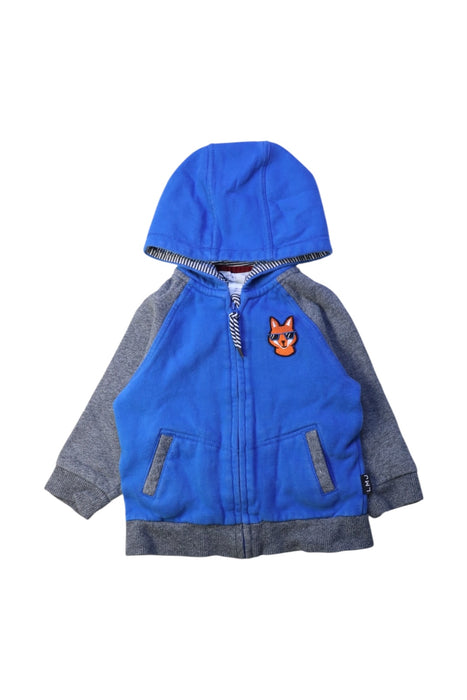 A Blue Lightweight Jackets from Little Marc Jacobs in size 12-18M for boy. (Front View)