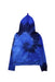 A Blue Hooded Sweatshirts from Polo Ralph Lauren in size 14Y for boy. (Front View)