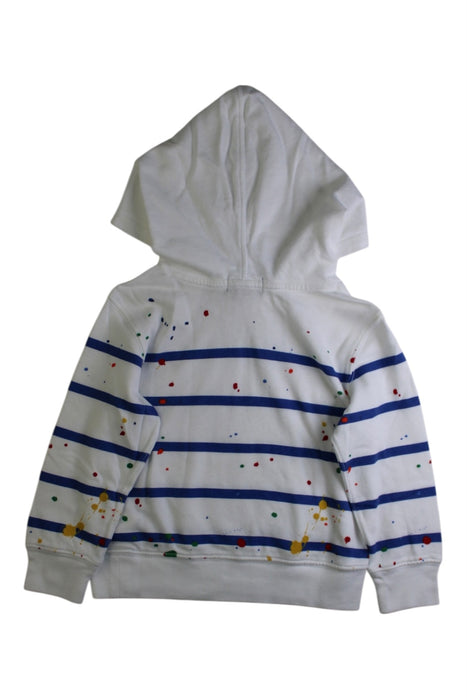 A Multicolour Hooded Sweatshirts from Polo Ralph Lauren in size 2T for boy. (Back View)