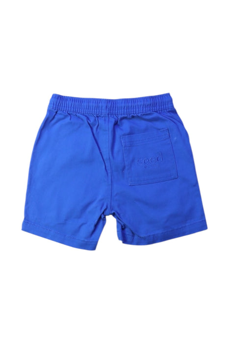 A Blue Shorts from Seed in size 6T for boy. (Back View)