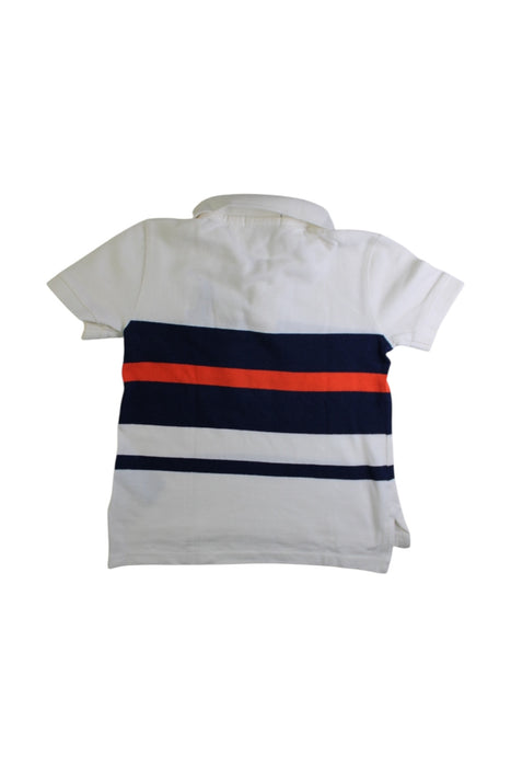 A Multicolour Short Sleeve T Shirts from Polo Ralph Lauren in size 4T for boy. (Back View)
