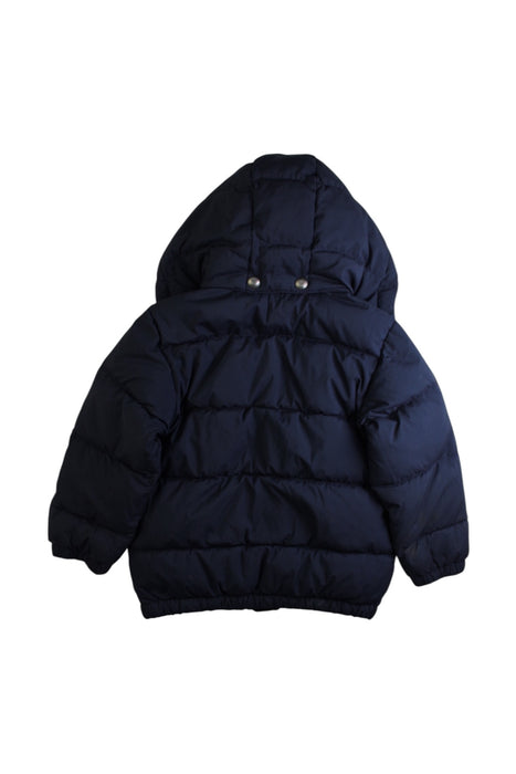 A Navy Puffer/Quilted Coats & Outerwear from Polo Ralph Lauren in size 4T for boy. (Back View)