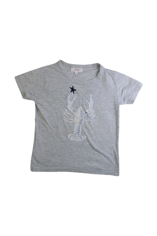 A Grey Short Sleeve T Shirts from Seed in size 3T for boy. (Front View)