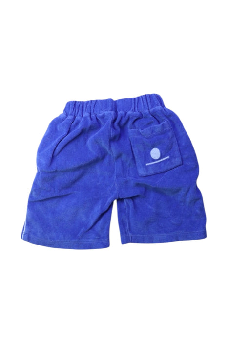 A Blue Shorts from We Are Kids in size 2T for boy. (Back View)