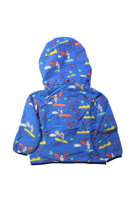A Multicolour Lightweight Jackets from Patagonia in size 12-18M for boy. (Back View)
