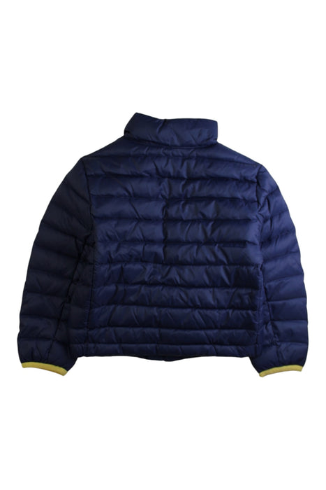 A Navy Puffer/Quilted Jackets from Polo Ralph Lauren in size 3T for boy. (Back View)
