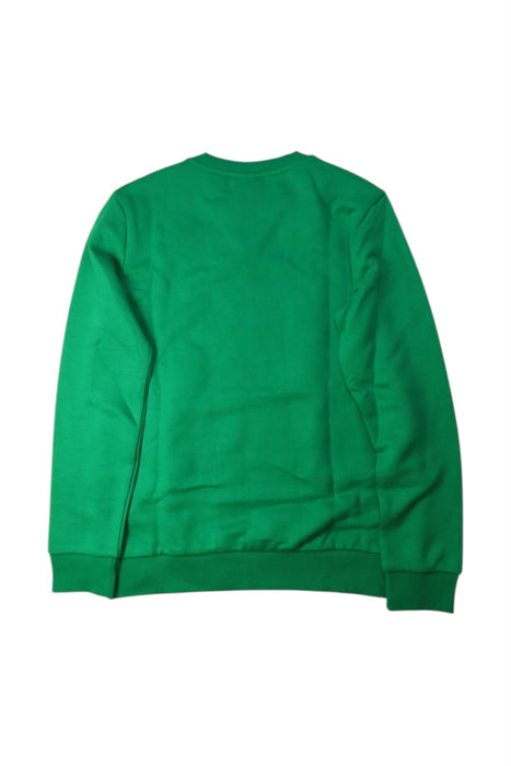 A Green Crewneck Sweatshirts from Adidas in size 12Y for neutral. (Back View)