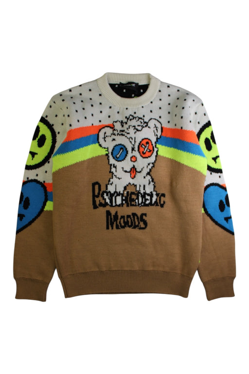 A Multicolour Knit Sweaters from Barrow in size 14Y for boy. (Front View)