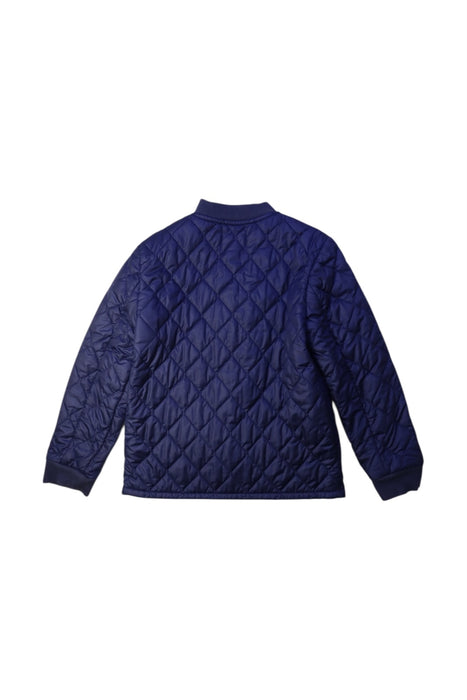 A Navy Puffer/Quilted Jackets from Polo Ralph Lauren in size 6T for boy. (Back View)