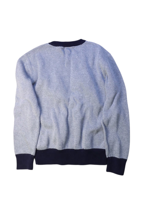 A Multicolour Crewneck Sweatshirts from Polo Ralph Lauren in size 10Y for boy. (Back View)