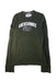 A Green Long Sleeve T Shirts from Abercrombie & Fitch in size 14Y for neutral. (Front View)