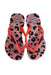 A Pink Flip Flops from Havaianas in size 4T for girl. (Back View)