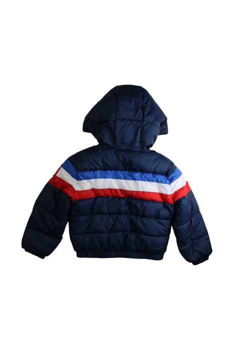 A Multicolour Puffer/Quilted Coats & Outerwear from Levi's in size 3T for boy. (Back View)