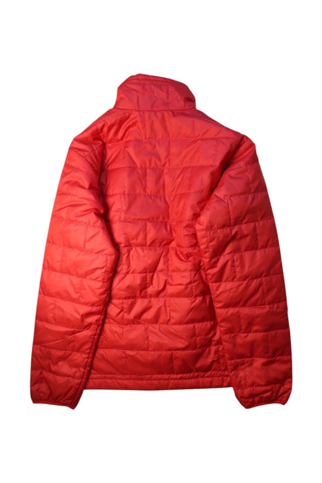 A Red Puffer/Quilted Jackets from Patagonia in size 12Y for boy. (Back View)