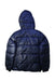 A Blue Puffer/Quilted Coats & Outerwear from Crewcuts in size 12Y for boy. (Back View)