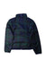 A Green Puffer/Quilted Jackets from Polo Ralph Lauren in size 8Y for boy. (Back View)