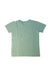 A Green Short Sleeve T Shirts from Crewcuts in size 4T for boy. (Back View)