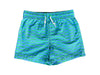 A Blue Swim Shorts from Seed in size 5T for boy. (Front View)