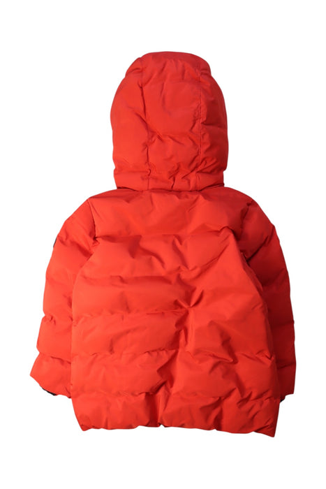 A Red Puffer/Quilted Coats & Outerwear from Jacadi in size 8Y for neutral. (Back View)