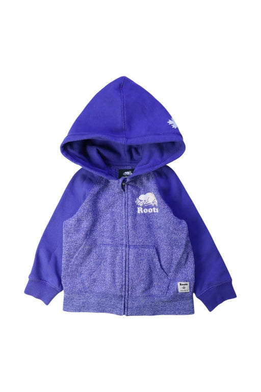 A Purple Hooded Sweatshirts from Roots in size 18-24M for boy. (Front View)