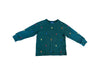 A Green Long Sleeve Tops from Polo Ralph Lauren in size 3T for boy. (Front View)