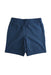 A Blue Shorts from Hurley in size 5T for boy. (Back View)