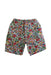 A Multicolour Shorts from Seed in size 6T for boy. (Back View)