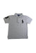 A Grey Short Sleeve Polos from Polo Ralph Lauren in size 6T for boy. (Front View)