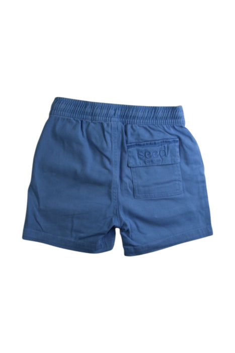 A Blue Shorts from Seed in size 4T for boy. (Back View)