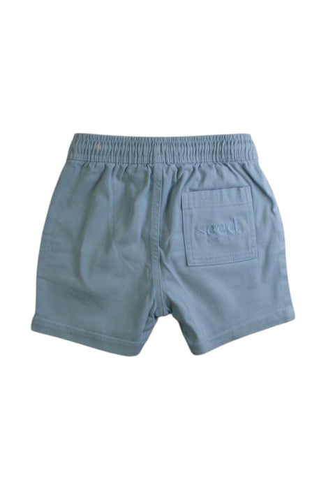 A Blue Shorts from Seed in size 4T for boy. (Back View)