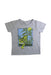 A Grey Short Sleeve T Shirts from Seed in size 4T for boy. (Front View)