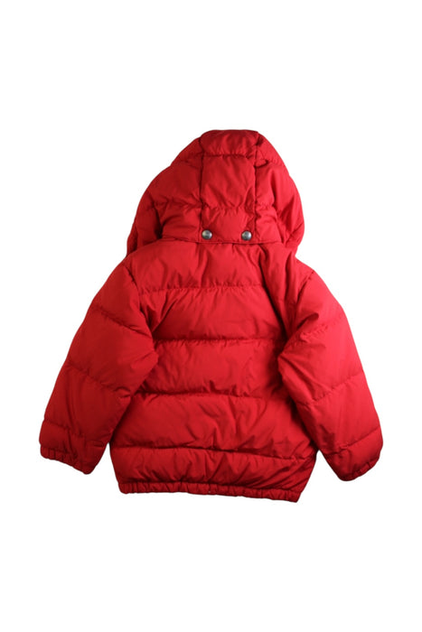 A Red Puffer/Quilted Coats & Outerwear from Polo Ralph Lauren in size 4T for boy. (Back View)