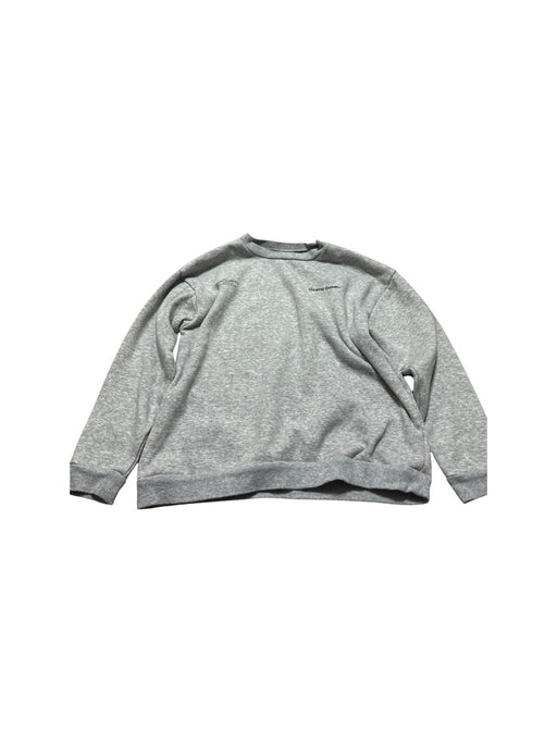 A Grey Crewneck Sweatshirts from Groovy Colors in size 10Y for neutral. (Front View)