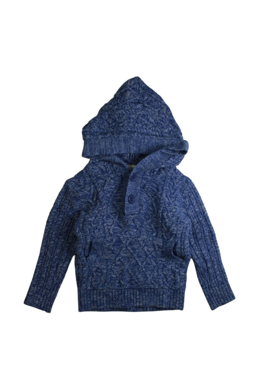 A Blue Hooded Sweatshirts from CIGOGNE Bébé in size 12-18M for boy. (Front View)