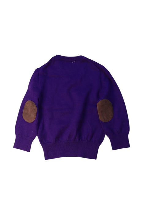 A Purple Knit Sweaters from Polo Ralph Lauren in size 2T for boy. (Back View)
